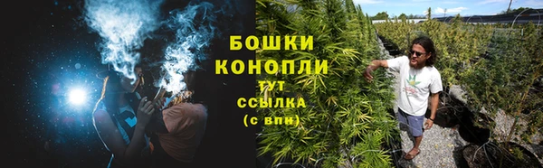 ECSTASY Абаза